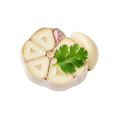 Cut garlic with cilantro clove closeup
