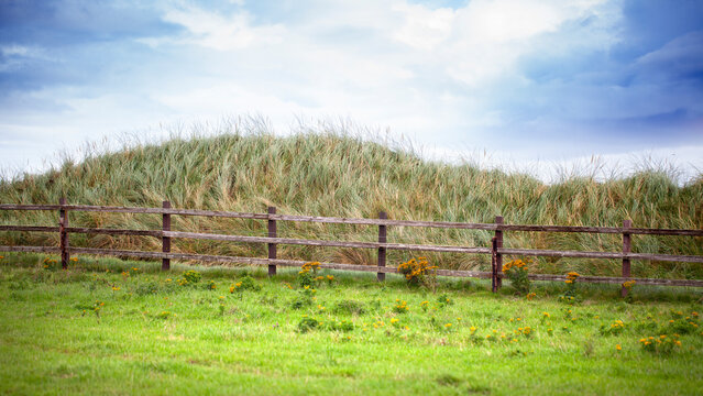 Wooden fence in Ireland