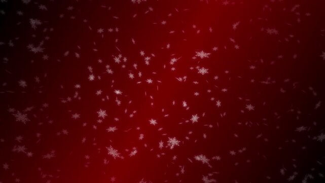 White snowflakes being lit up and falling down on dark red gradient background. Abstract background for Merry Christmas, Happy Holidays, Season's greetings, Happy Valentine's day and winter season.