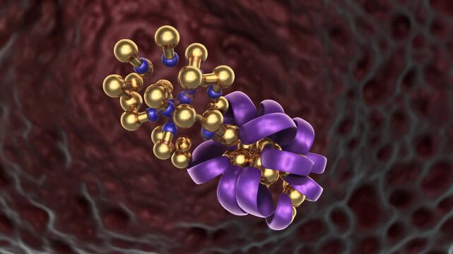 Molecular animation of G-protein coupled receptor signaling