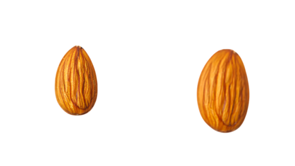 Two whole almonds isolated on transparent background, healthy snack and ingredient