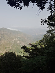 Under the cool shade of towering Atlas cedar, a quiet natural frame opens to a sweeping landscape below: sun-drenched slopes, distant mountain ranges, and a gentle stretch of expansive horizon.