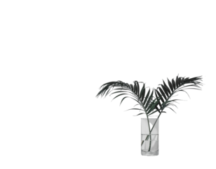 Dark foliage in a clear vase, minimalist aesthetic