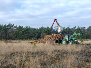 Logging on the Elspeetse Heide, - Houtkap op de Elspeetse Heide, - Gelderland province, the Netherlands
