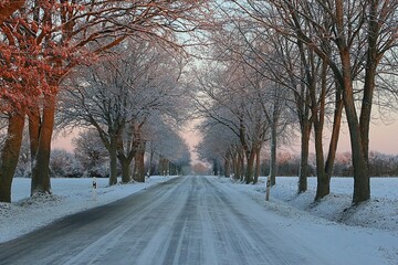 Small snow-covered country road with trees on the side early in the morning