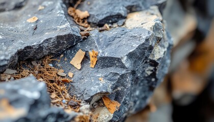 Fototapeta premium Bio remnants organic residue on rough stone surface