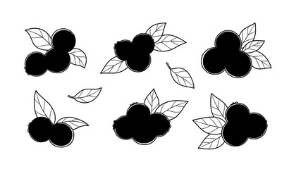 Hand Drawn Blueberries Vector Collection Fresh Berry Food Illustration Set