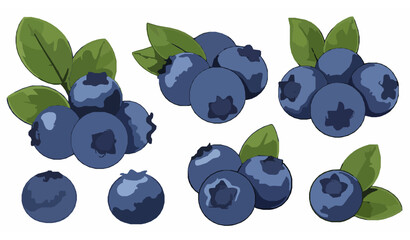 Flat Blueberry Vector Set Fresh Fruit Collection for Packaging Branding and Labels