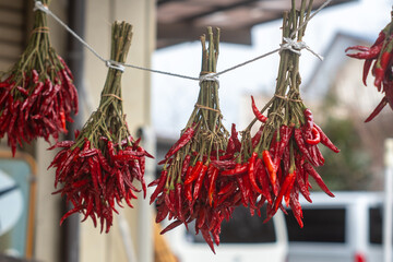 唐辛子を干す