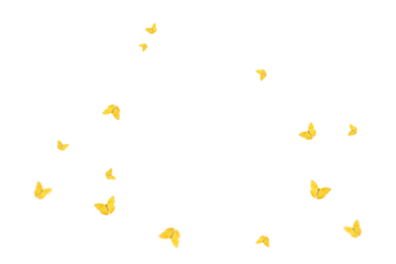 Butterfly on transparent background. Butterfly  isolated. Realistic butterflies postcard card frame Collection set of multicolored butterflies