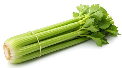 Fototapeta premium fresh green celery