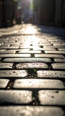 Cobblestone street shines, sun-drenched, leading into distance