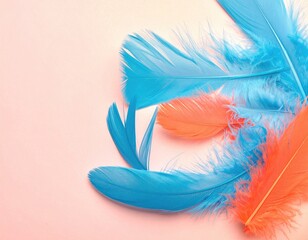 Colorful feathers, soft texture on pastel surface
