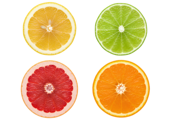 Citrus fruit slices collection including lemon lime grapefruit and orange cross sections isolated on transparent background for food design