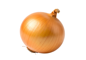 Fresh yellow onion whole bulb with smooth skin isolated on transparent background for vegetable food and cooking design