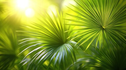 Lush tropical foliage bathed in sunlight (1)