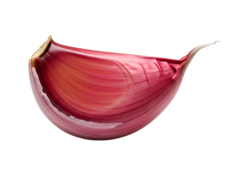 Red garlic clove with smooth curved surface isolated on transparent background for spice, cooking, and food design