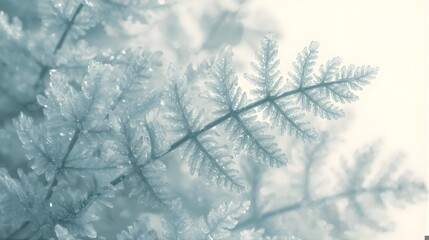 Macro Close Up of Green Leaves with Fresh Water Droplets 4K wallpaper