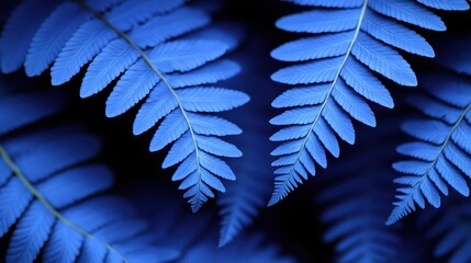 Vibrant blue fern foliage