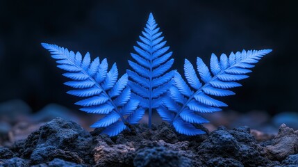 Vibrant blue fern sprout in dark soil