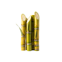 Cut sugar cane pieces on Transparent Background