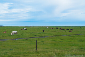アイスランドの美しい氷山
