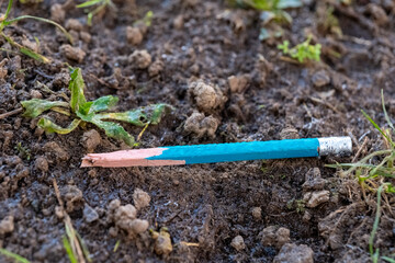 A broken pencil lies on the rich, dark soil, partially covered by fresh green leaves
