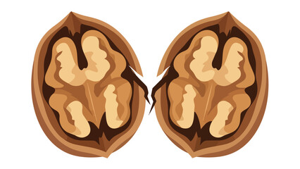 Crisp illustration of a perfectly cracked walnut revealing its wholesome kernel halves, symbolizing natural goodness and a nutritious, organic