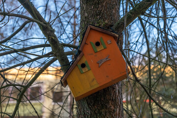 Charming wooden birdhouse perched on a tree, capturing the essence of nature's beauty in a serene outdoor setting