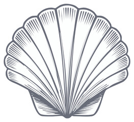Vintage Style Scallop Shell Illustration, Marine Graphic Element, Decorative Seashell Art, Vector Design