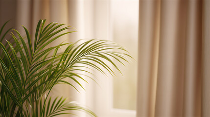 Sunlit indoor palm leaves near window with beige curtains, minimal cozy home interior, natural light and soft shadows, wellbeing and sustainable lifestyle concept with copy space.
