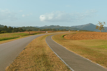 the mountains and hills at Singha Park, Chiang Rai