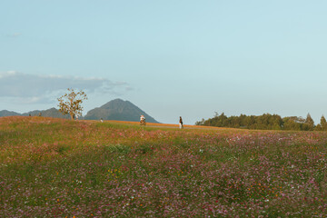 the mountains and hills at Singha Park, Chiang Rai