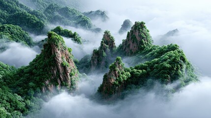 Misty mountain peaks with lush greenery