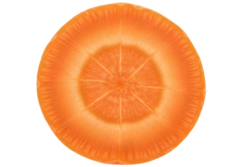 Carrot slice cross section with vibrant orange texture isolated on transparent background for healthy food design