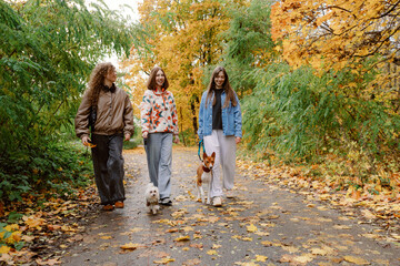 Fototapeta premium Three friends stroll along a leaf-covered path surrounded by vibrant autumn trees. Two dogs happily accompany them as they chat and laugh in the fresh air.