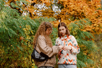 Fototapeta premium Two friends stand amidst vibrant autumn foliage, engaged in conversation as they examine something in their hands. The warm colors of the leaves create a cozy, inviting atmosphere.
