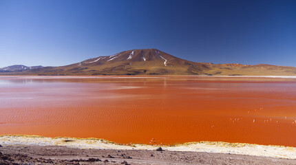 View of Laguna Colorada, Bolivia