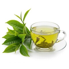 Fresh green tea in glass cup