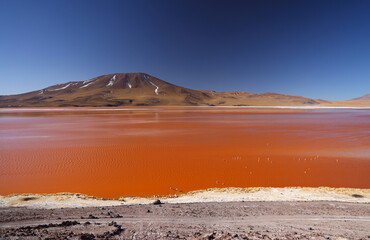 View of Laguna Colorada, Bolivia