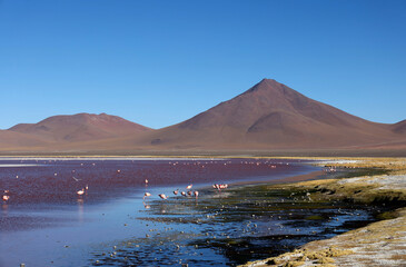 View of Laguna Colorada, Bolivia