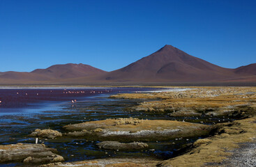 View of Laguna Colorada, Bolivia