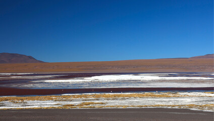 View of Laguna Colorada, Bolivia
