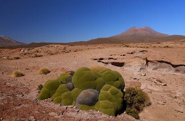 Landscape near Mirador de Santa Rosa, Bolivia