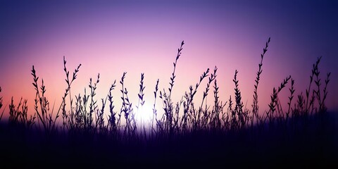 Obraz premium Silhouettes of wild grass and plants against vibrant purple sunset sky creating peaceful nature scene for meditation and relaxation backgrounds.