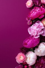 Floral Frame for International Women's Day and Mother's Day with Romantic Pink Peonies and Roses on Magenta Background with february 14, day, woman