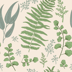 Set of vector flowers and herbs. Elements for herbal tea, natural cosmetics, perfume, health care products, aromatherapy. Organic. Fern