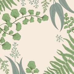 Vector flowers and herbs frame. Design for herbal tea, natural cosmetics, perfume, health care products, aromatherapy. With place for text. Organic. Fern