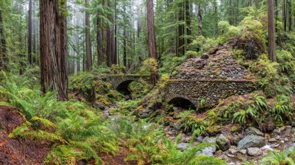 Obraz premium enchanting stone arch surrounded by lush greenery in a foggy woodland