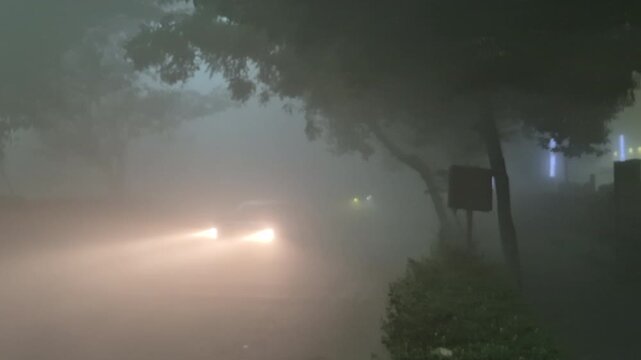 A fog-drenched nighttime road appears beneath a leafy tree canopy, with a vehicle�s headlights diffusing into soft beams through thick mist and roadside foliage fading into the darkness.
